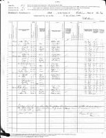 VAN VALKENBURGH, Philip & Family and Lewis & Family
1880 US Federal Census - Stark, Herkimer, New York (page 30 of 30)