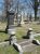SCHELL, Peter Charles and Family Plot SCHELL, Peter Charles and Family Plot