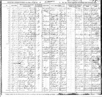 SCHULER, WIlliam Sr and Charles Mathias - Birth Certificate
Boston, Suffolk, Massachusetts, USA - 8 Nov 1879 