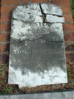 STEIN, George - Gravesite
Honeysuckle Ridge, Rose Hill Cemetery, Macon, Bibb, Georgia, USA